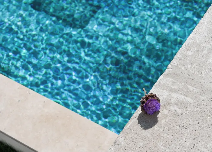 Frühstückspension Fethi Baba Konagi *