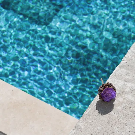 Alojamento de Acomodação e Pequeno-almoço Fethi Baba Konagi *